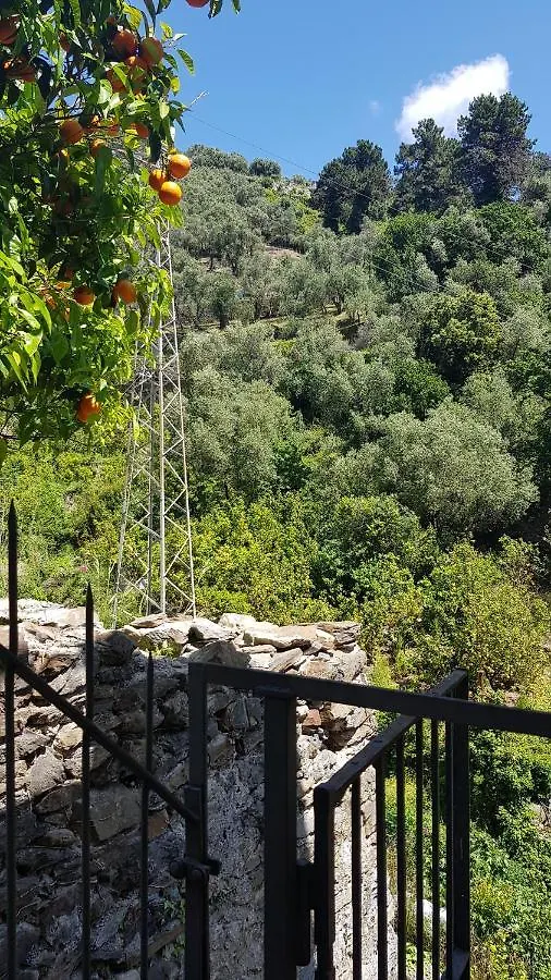 La Casa Dei Limoni Hotell Monterosso al Mare Pensionat