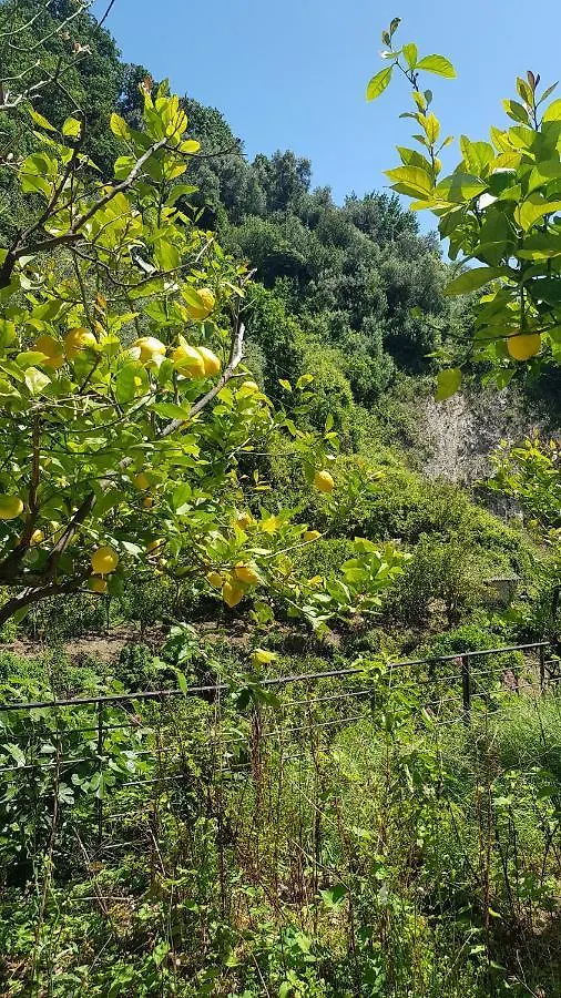 La Casa Dei Limoni Hotell Monterosso al Mare Italien